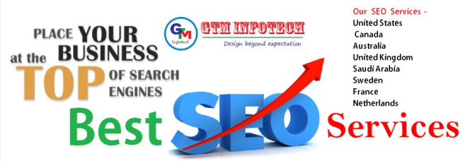 cropped-seo-service-in-delhi.png